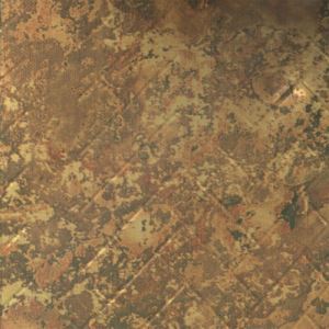 359_2_additional image.jpg image